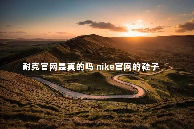 耐克官网是真的吗 nike官网的鞋子真的正吗